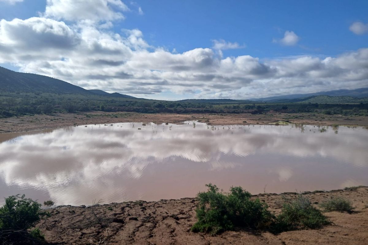 605Ha Karoo Charm & Farming Potential in the Coxcombs - Photo 2