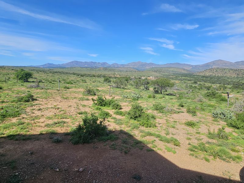 605Ha Karoo Charm & Farming Potential in the Coxcombs - Photo 4