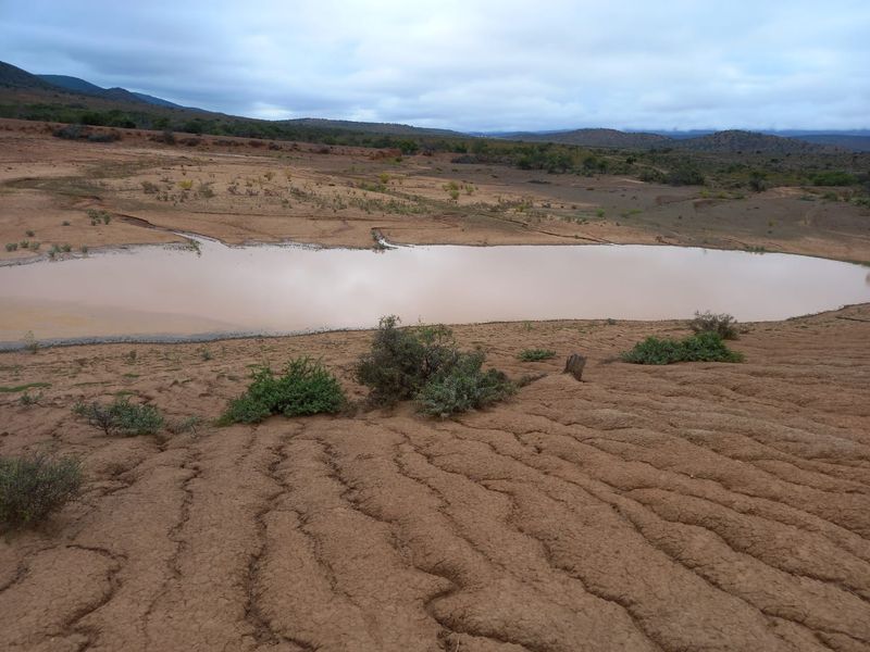 605Ha Karoo Charm & Farming Potential in the Coxcombs - Photo 5