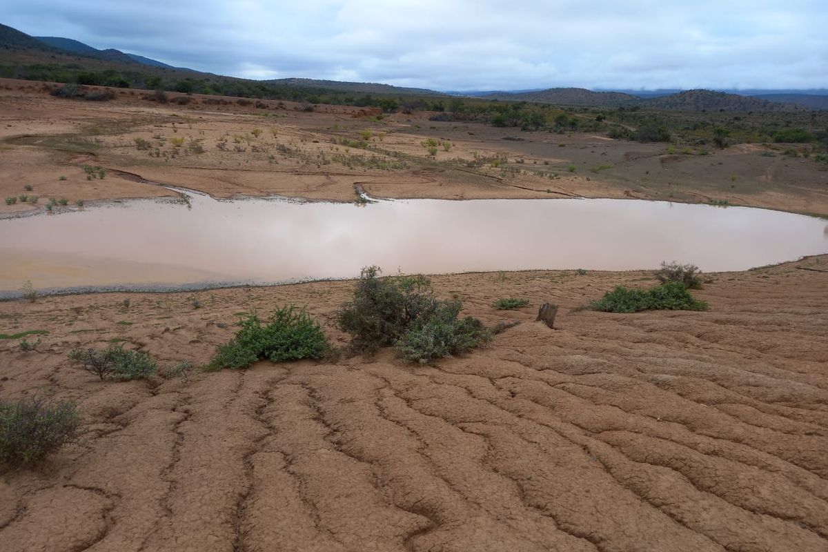 605Ha Karoo Charm & Farming Potential in the Coxcombs - Photo 5