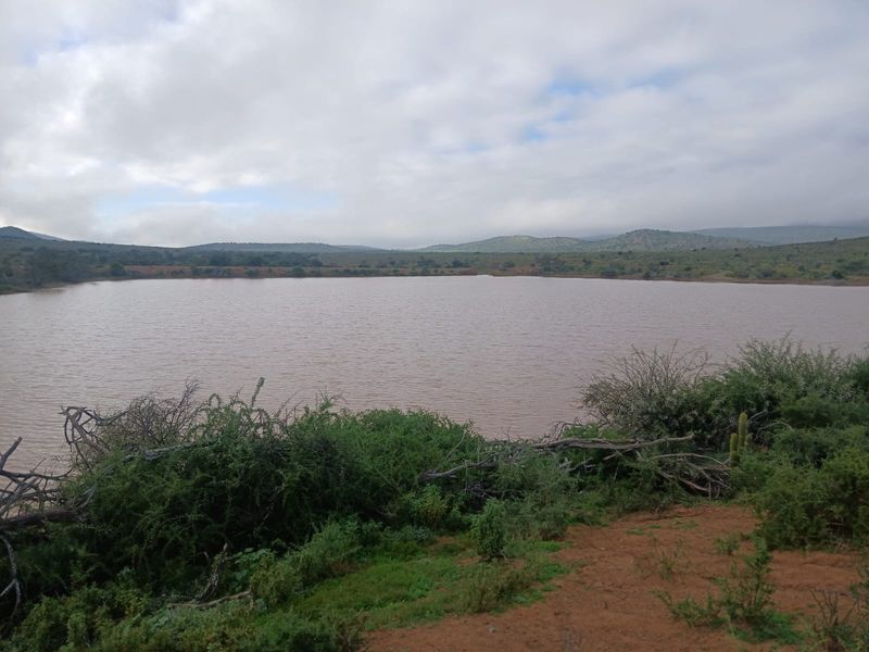605Ha Karoo Charm & Farming Potential in the Coxcombs - Photo 2