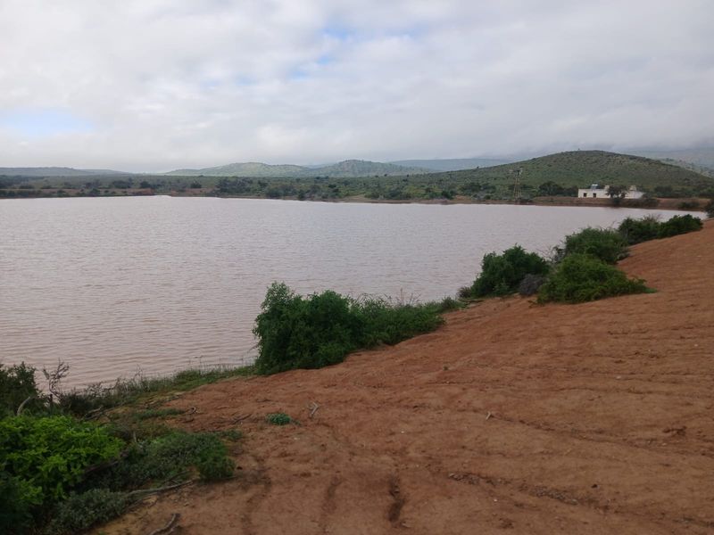 605Ha Karoo Charm & Farming Potential in the Coxcombs - Photo 3