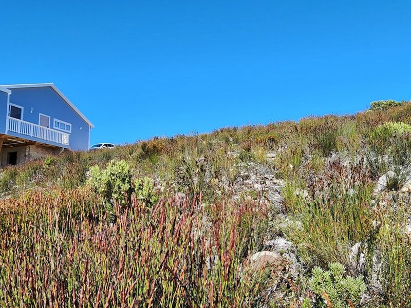 Look at this great investment! - Photo 5