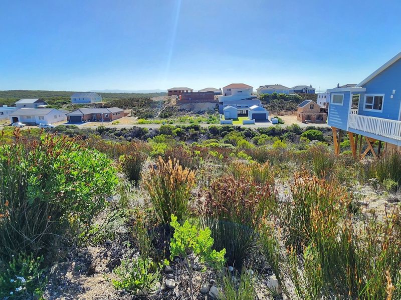 An elevated view overlooking the natural fynbos landscape and surrounding residential properties in the estate.