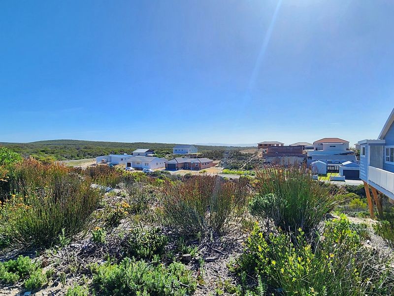 Look at this great investment! - Photo 10