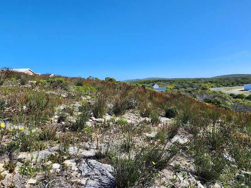 Look at this great investment! - Photo 8