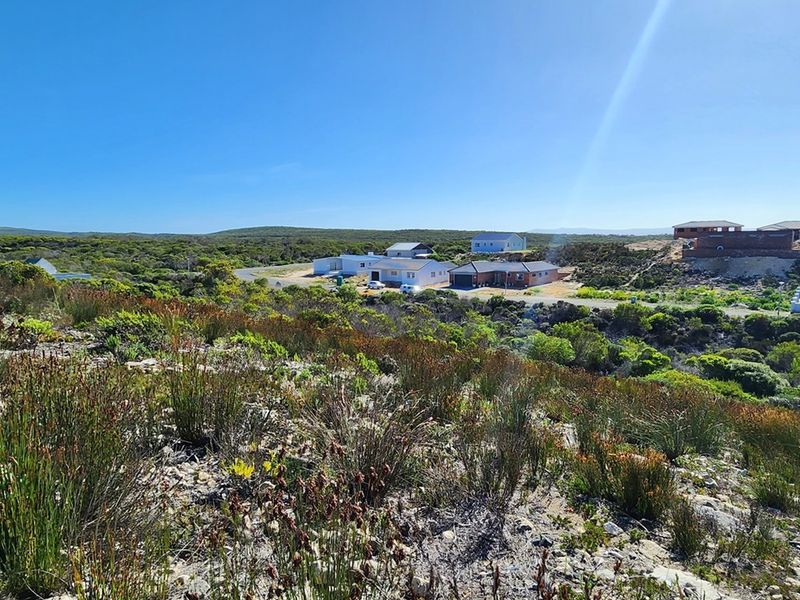 Look at this great investment! - Photo 9