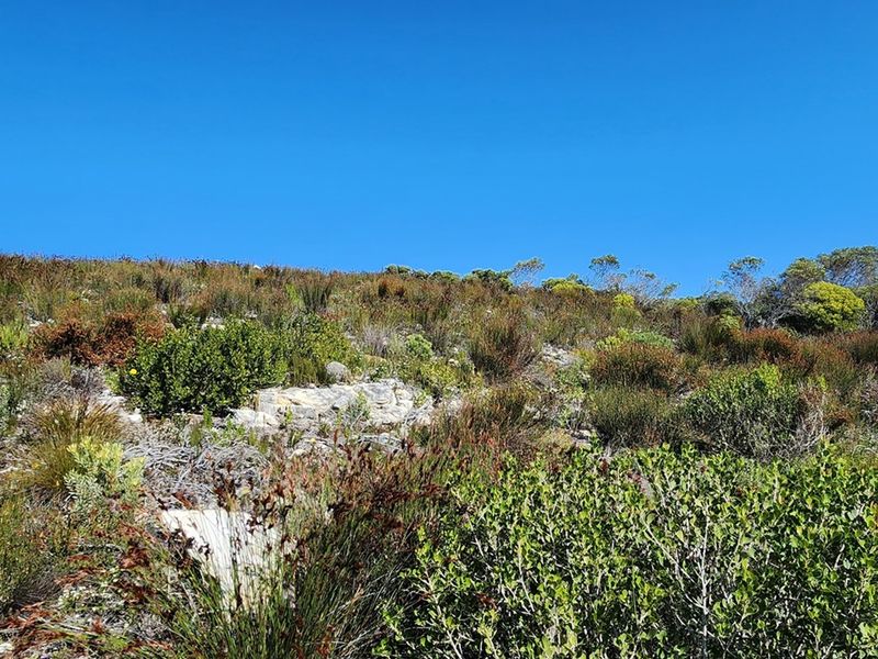 Look at this great investment! - Photo 7