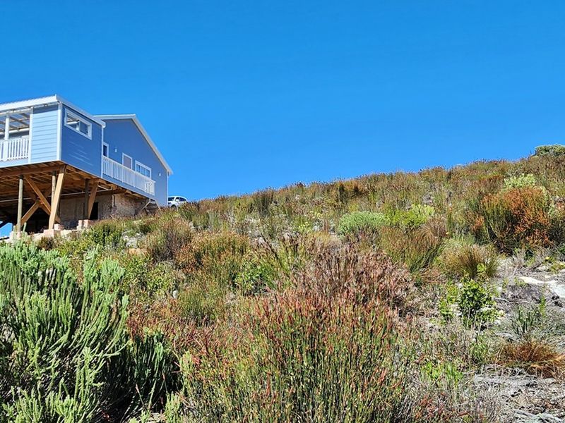 Look at this great investment! - Photo 6