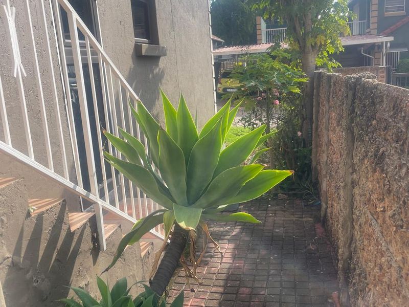 3 Bed and 2.5 Bath Double Storey Home - Photo 8