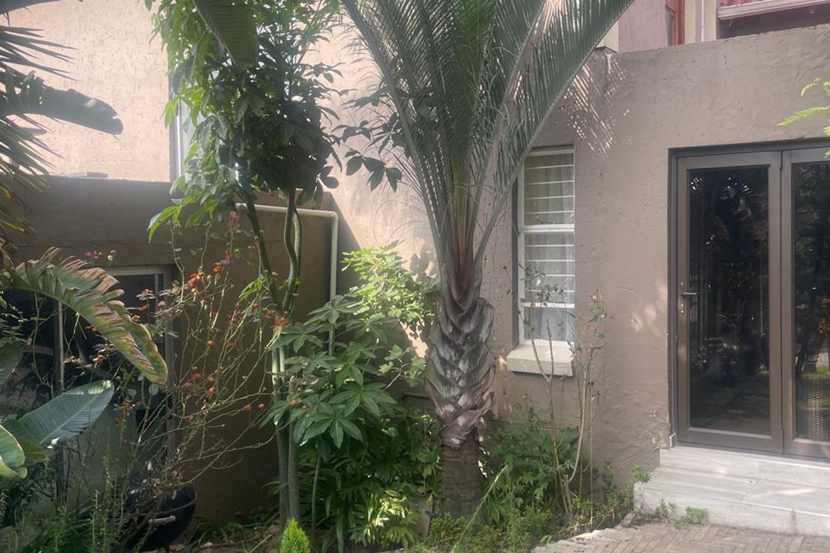 A rear garden area featuring a paved patio, established palm trees, and glass sliding door access to the main dwelling.