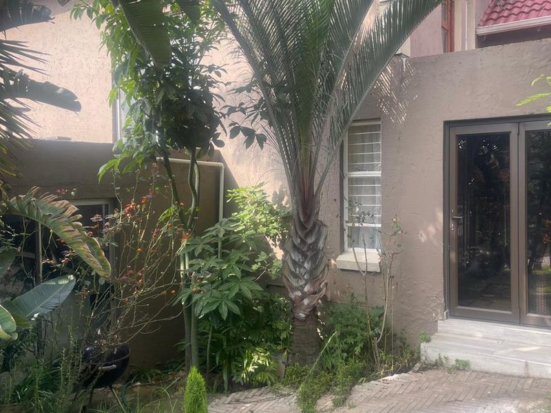 A rear garden area featuring a paved patio, established palm trees, and glass sliding door access to the main dwelling.