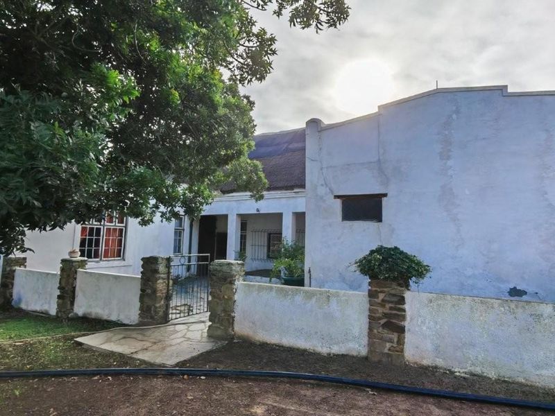 Darling: 972 Ha farm for sale by Auction - Photo 4
