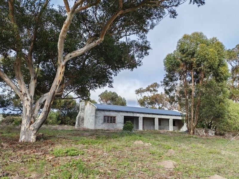 Darling: 972 Ha farm for sale by Auction - Photo 5