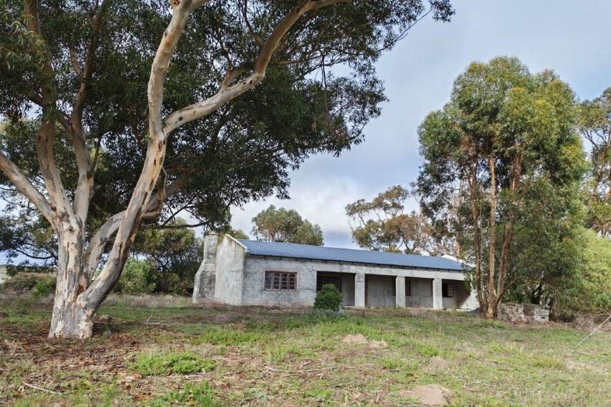 Darling: 972 Ha farm for sale by Auction - Photo 5