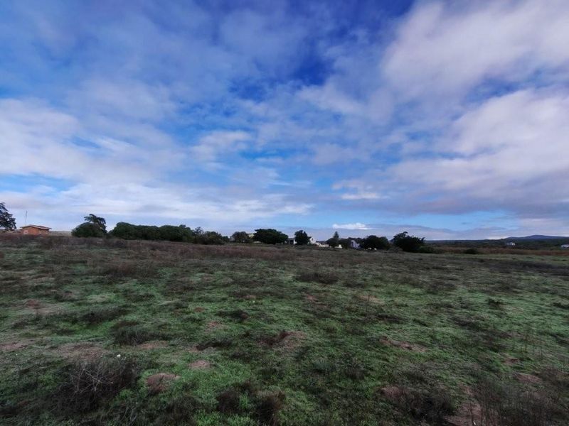 Darling: 972 Ha farm for sale by Auction - Photo 9