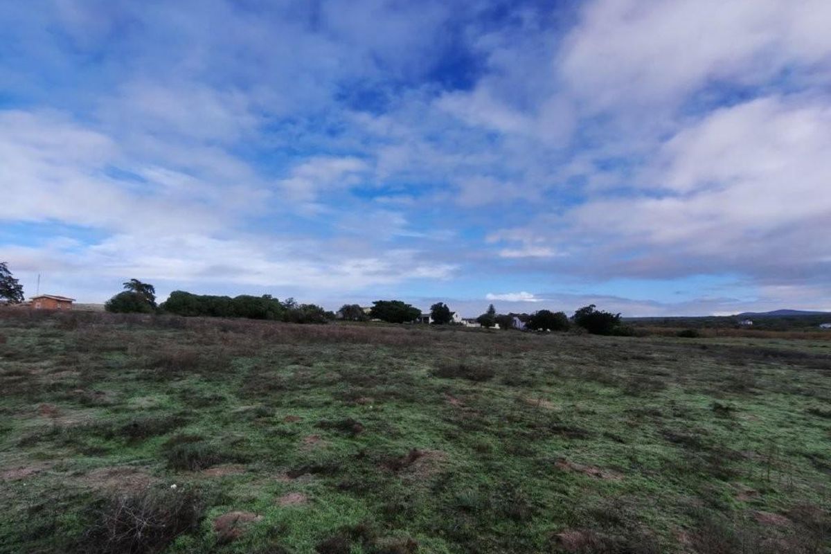 A wide-angle view of open farm land with natural vegetation under a cloudy blue sky.