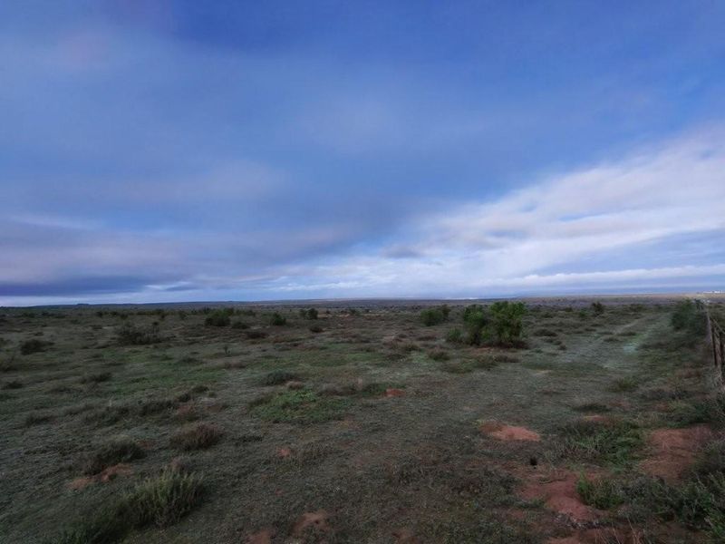Darling: 972 Ha farm for sale by Auction - Photo 8