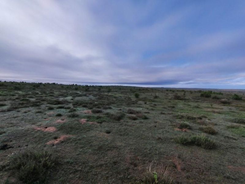 Darling: 972 Ha farm for sale by Auction - Photo 7