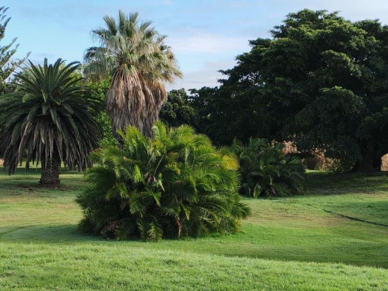 Darling: 972 Ha farm for sale by Auction - Photo 6