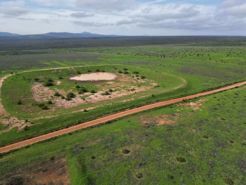 Darling: 972 Ha farm for sale by Auction - Photo 6