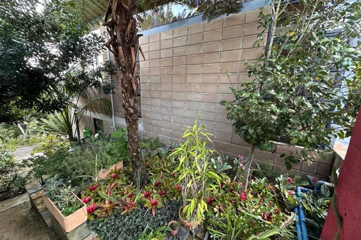 A view of the rear exterior featuring a concrete block wall and established garden beds with various plantings.
