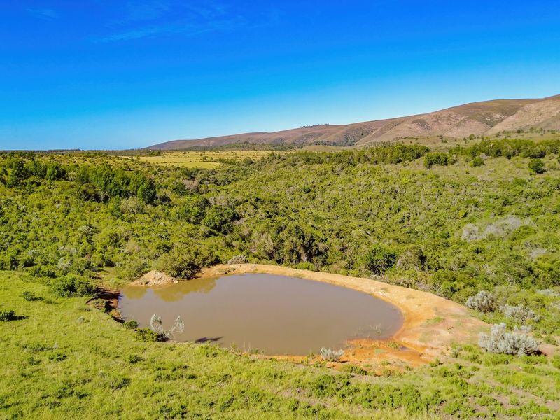 Onsite and Online Auction - Bosbokrand — 171.3 ha Livestock, game & Lifestyle - Photo 3