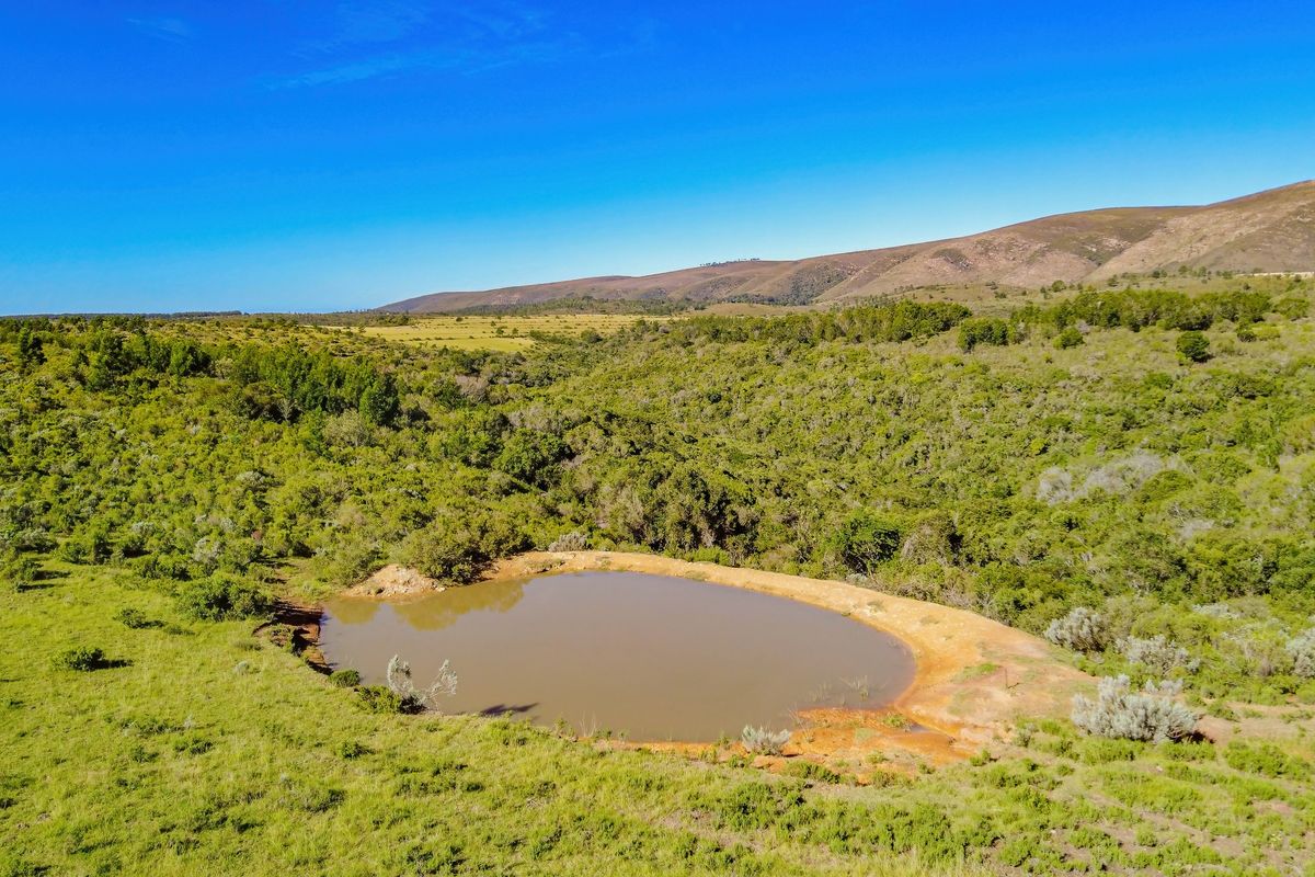 Onsite and Online Auction - Bosbokrand — 171.3 ha Livestock, game & Lifestyle - Photo 3