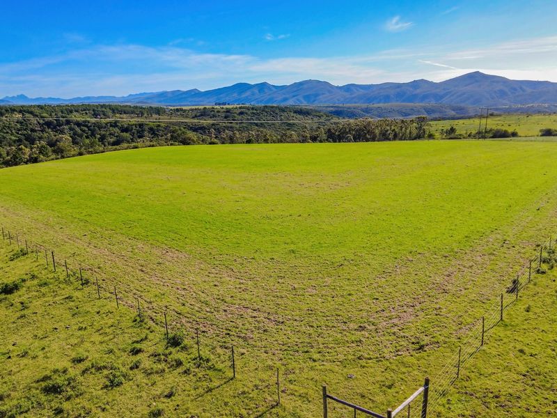 Onsite and Online Auction - Bosbokrand — 171.3 ha Livestock, game & Lifestyle - Photo 2