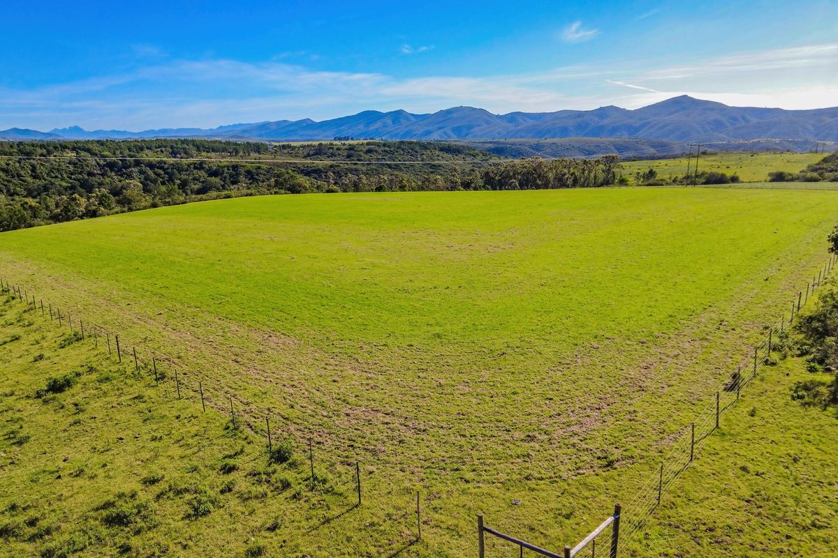 Onsite and Online Auction - Bosbokrand — 171.3 ha Livestock, game & Lifestyle - Photo 2