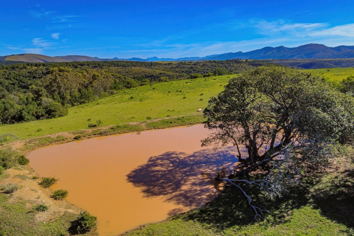Onsite and Online Auction - Bosbokrand — 171.3 ha Livestock, game & Lifestyle - Photo 5