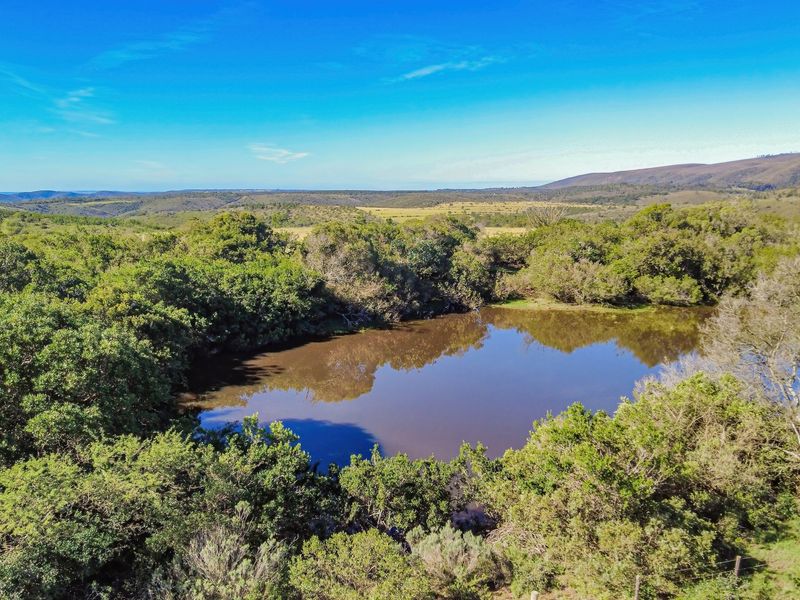 Onsite and Online Auction - Bosbokrand — 171.3 ha Livestock, game & Lifestyle - Photo 4