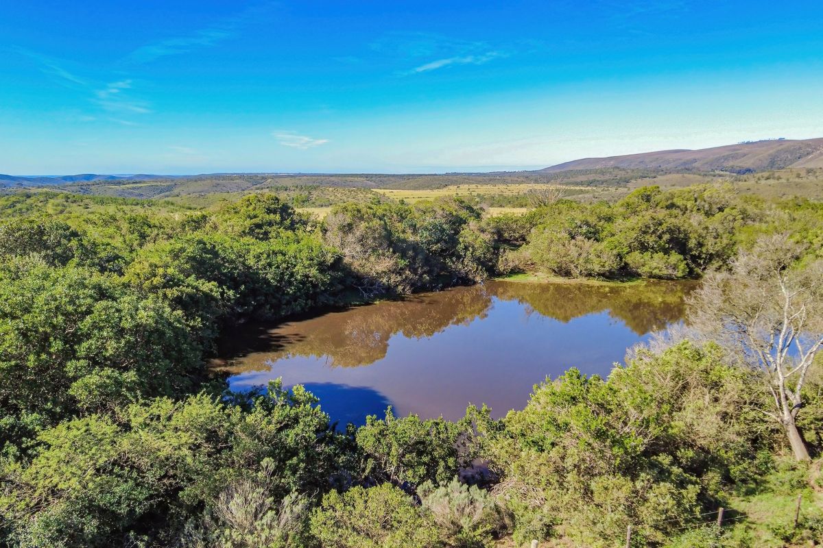 Onsite and Online Auction - Bosbokrand — 171.3 ha Livestock, game & Lifestyle - Photo 4