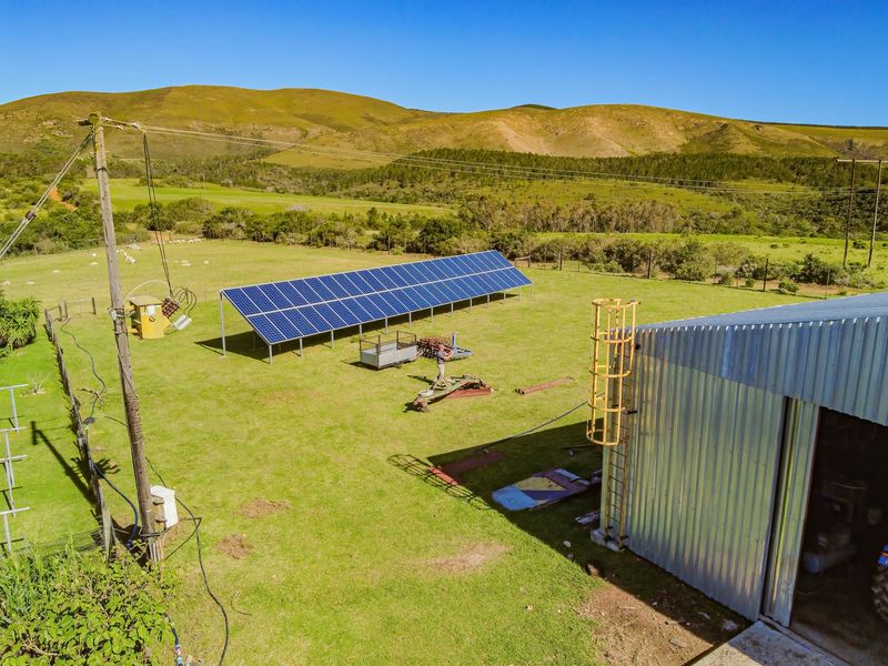 Onsite and Online Auction - Bosbokrand — 171.3 ha Livestock, game & Lifestyle - Photo 8