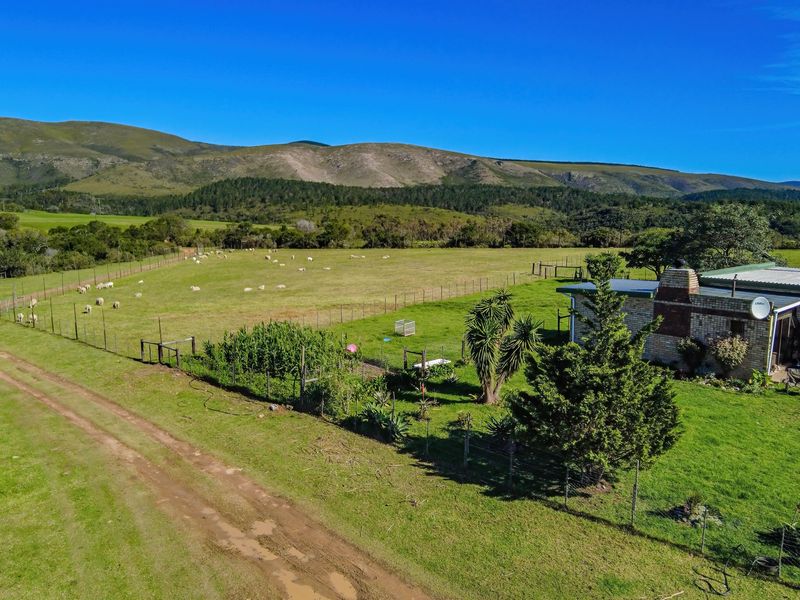 Onsite and Online Auction - Bosbokrand — 171.3 ha Livestock, game & Lifestyle - Photo 9