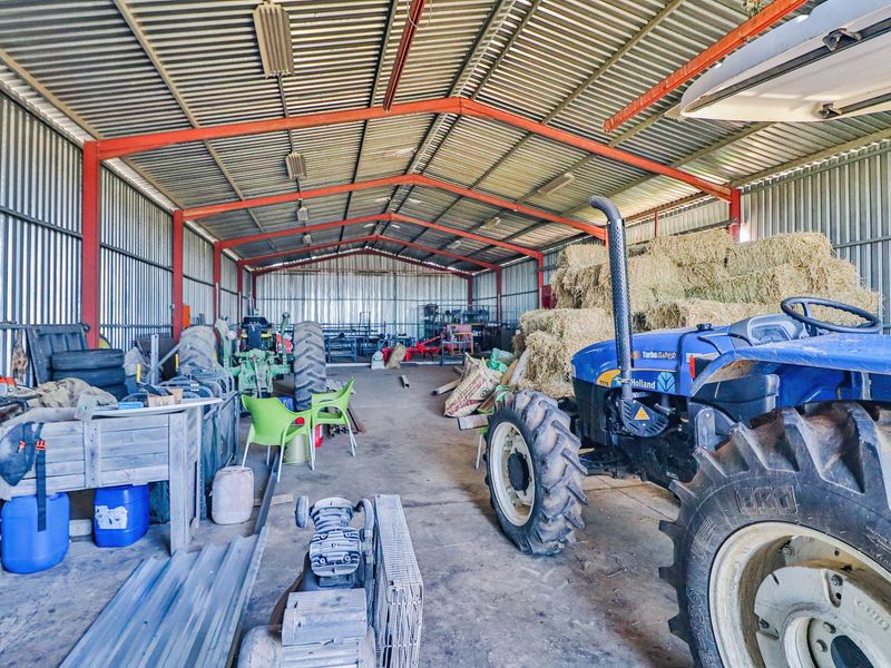 Onsite and Online Auction - Bosbokrand — 171.3 ha Livestock, game & Lifestyle - Photo 10