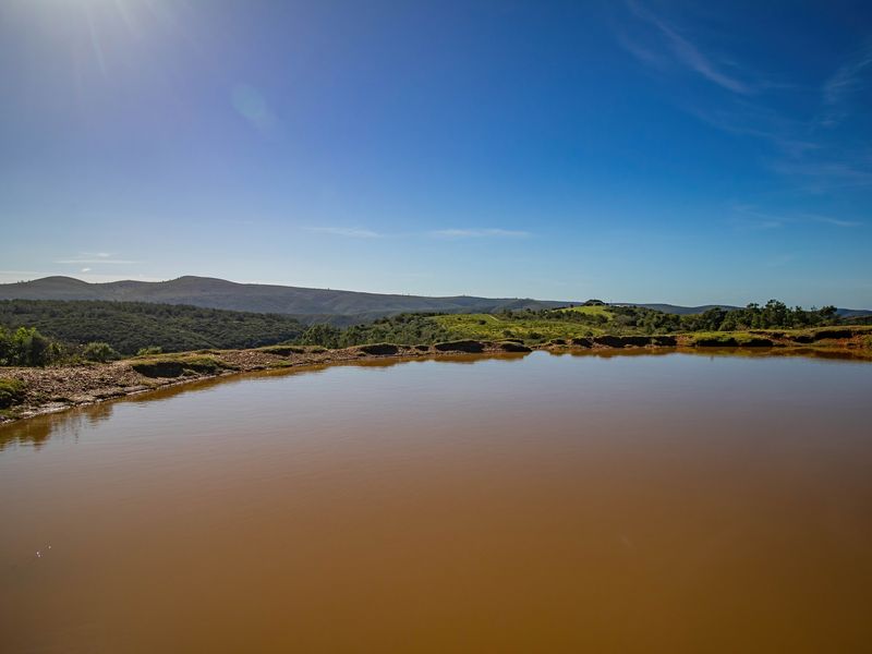 Onsite and Online Auction - Bosbokrand — 171.3 ha Livestock, game & Lifestyle - Photo 7