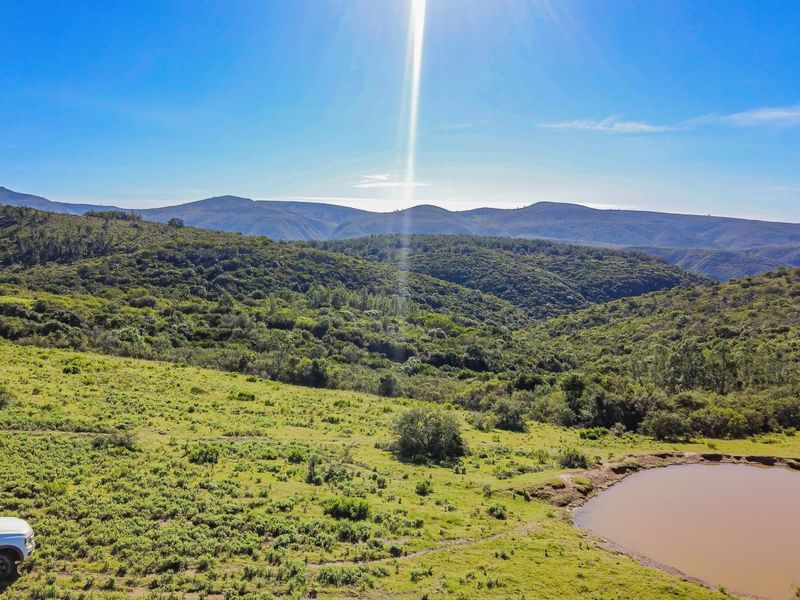Onsite and Online Auction - Bosbokrand — 171.3 ha Livestock, game & Lifestyle - Photo 6