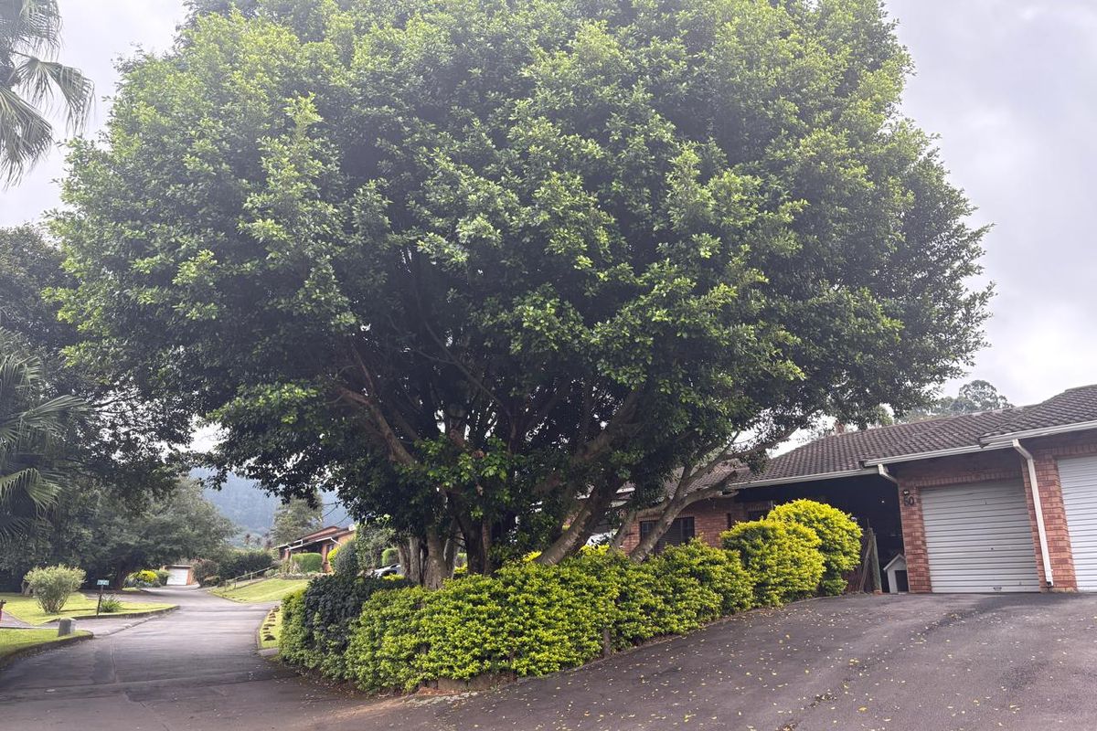 Charming Three Bedroom Townhouse in Popular Complex - Photo 4