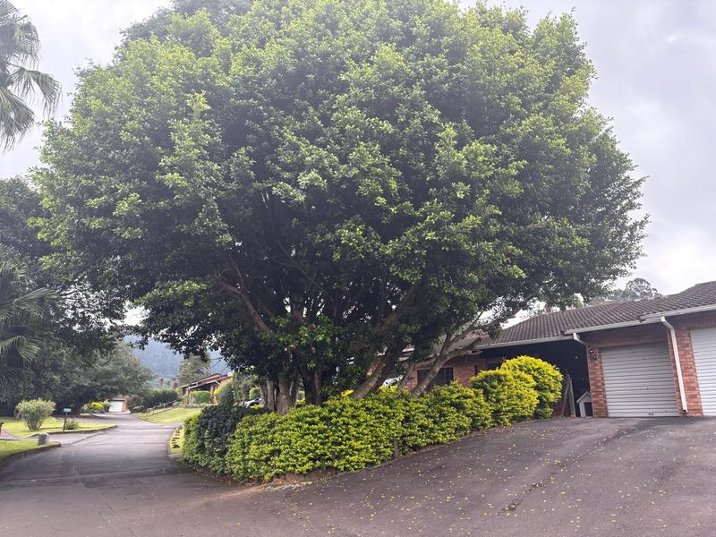 Charming Three Bedroom Townhouse in Popular Complex - Photo 4