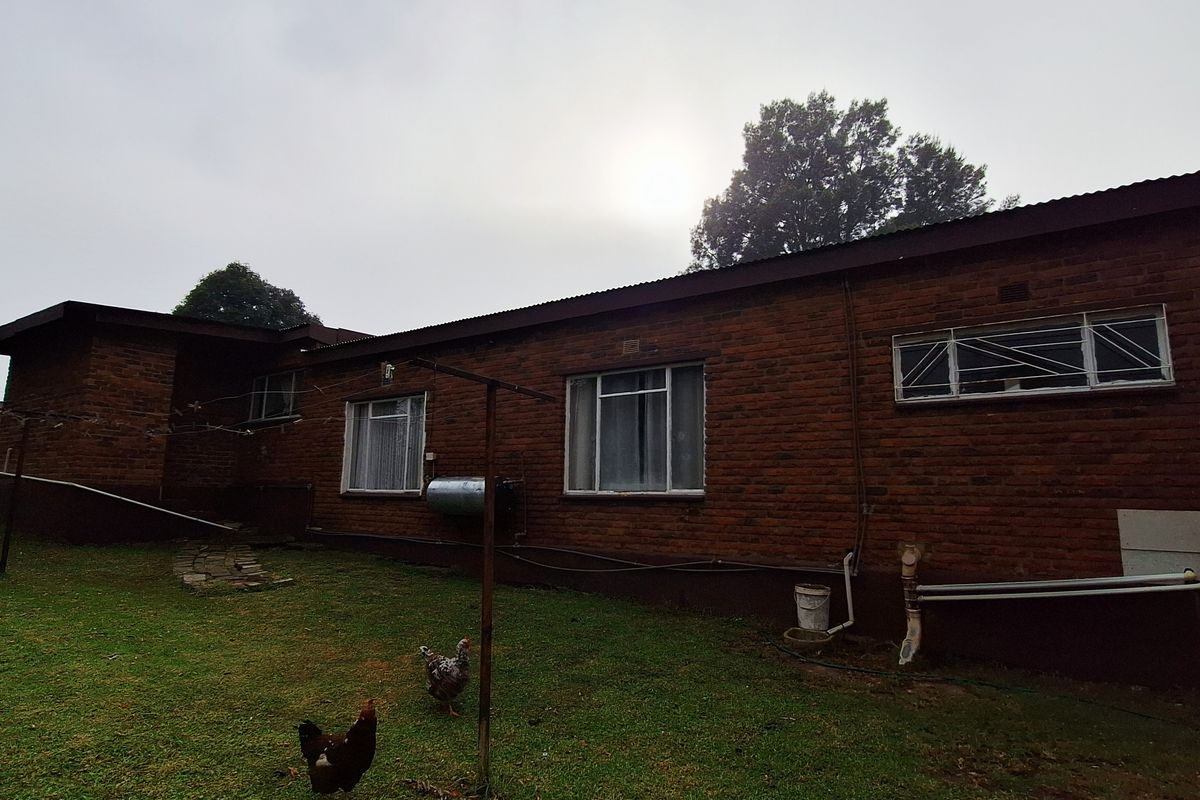 Rear exterior view of a single-story brick house featuring a lawn area, metal washing line, and standard window frames.
