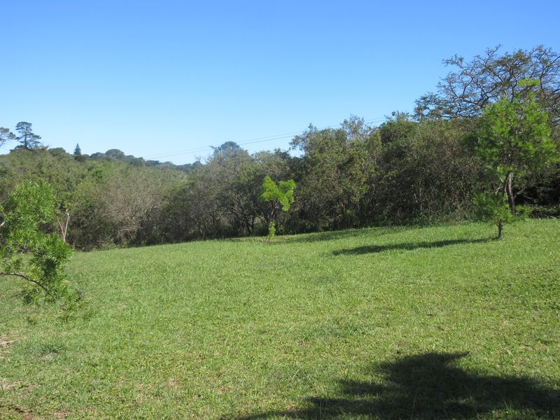 A view of a well-maintained, grassy residential plot featuring established trees and natural landscaping.