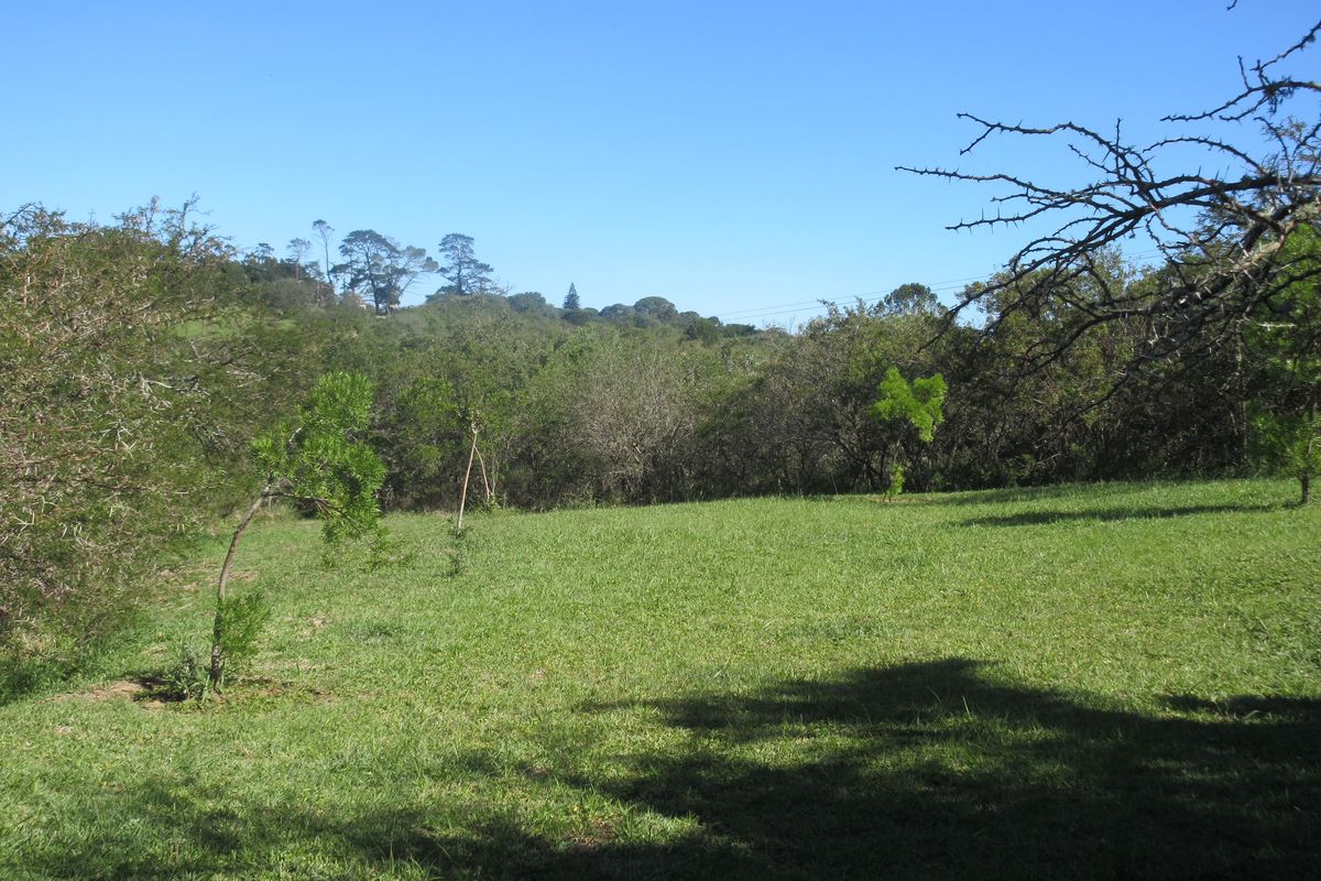 A view of a well-maintained grassy plot with mature trees and natural vegetation, suitable for residential development.