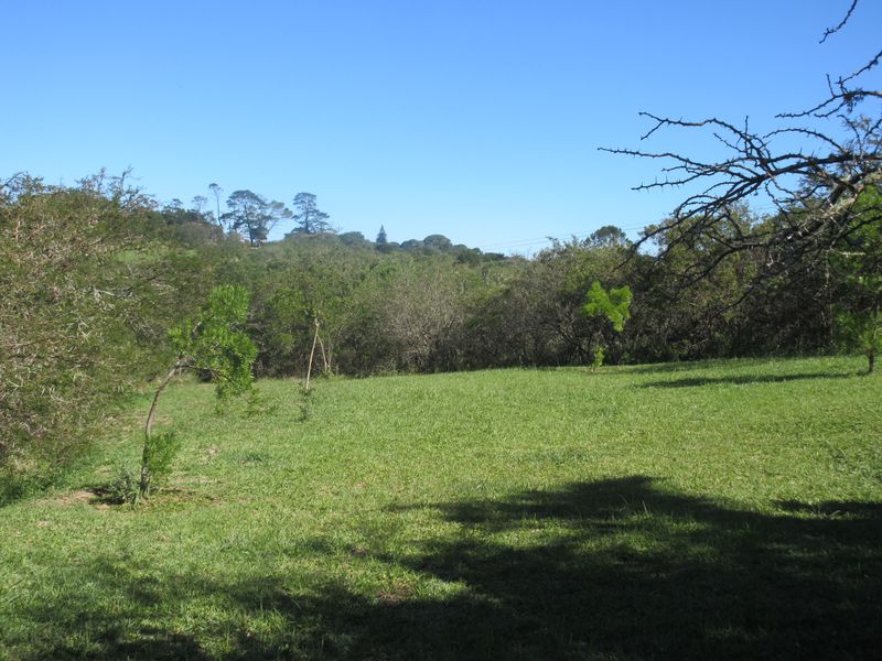 A view of a well-maintained grassy plot with mature trees and natural vegetation, suitable for residential development.