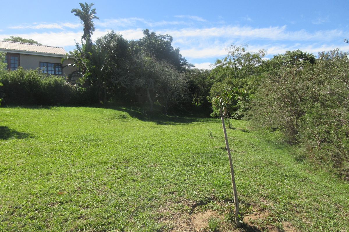 A view of a spacious, sloped residential garden featuring established trees and green lawn space.