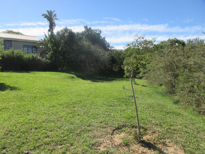 A view of a spacious, sloped residential garden featuring established trees and green lawn space.