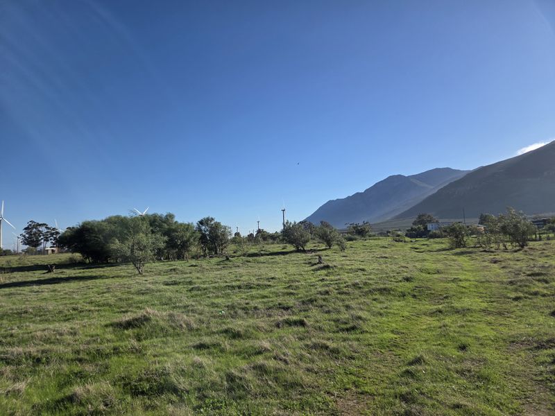 Dual Vacant Plots for Sale in Gouda – R350 000 Per Plot - Photo 10