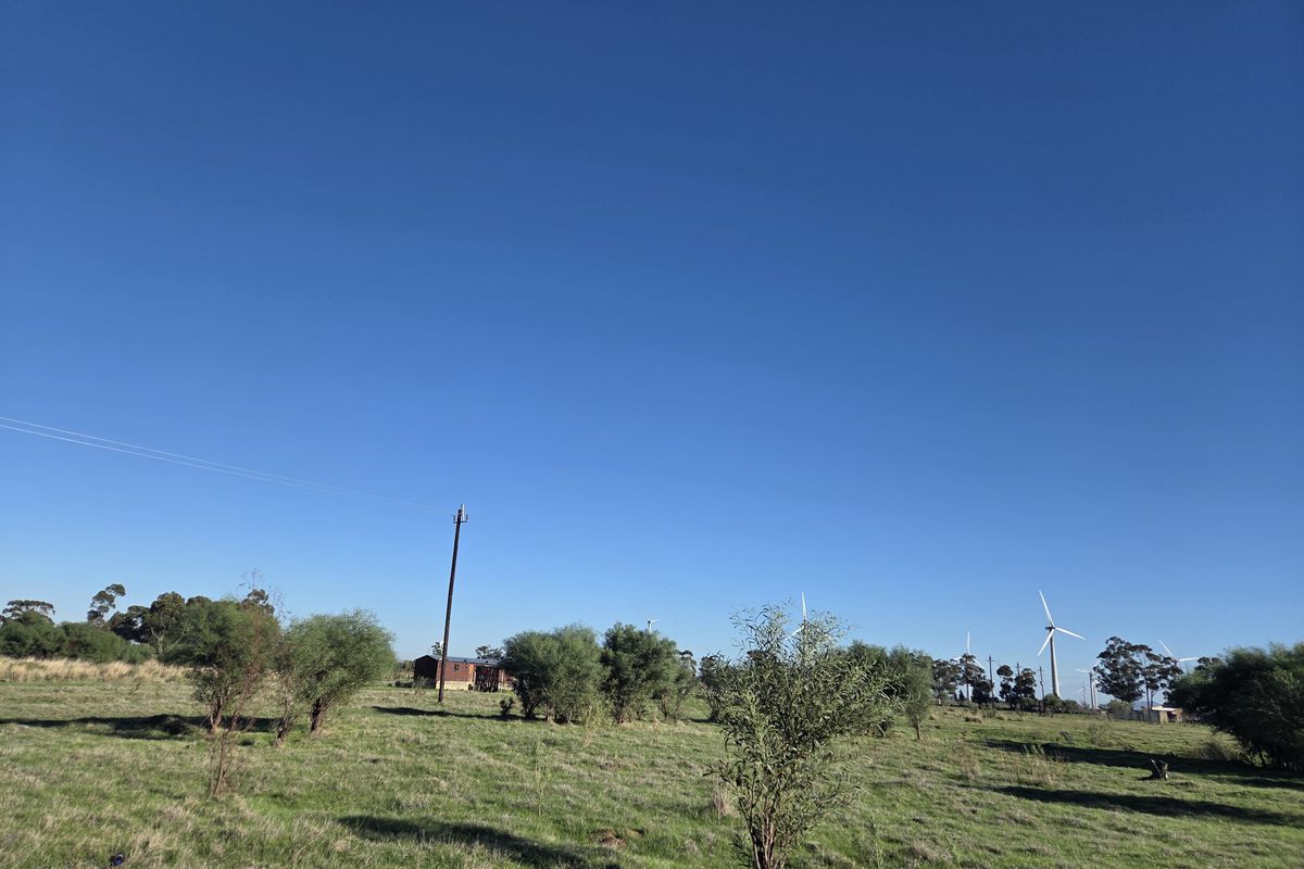 A wide view of open vacant land featuring scattered trees, utility poles, and distant wind turbines under a clear blue sky.