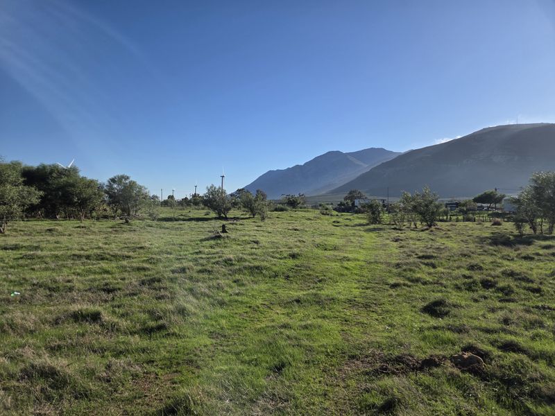 Dual Vacant Plots for Sale in Gouda – R350 000 Per Plot - Photo 6