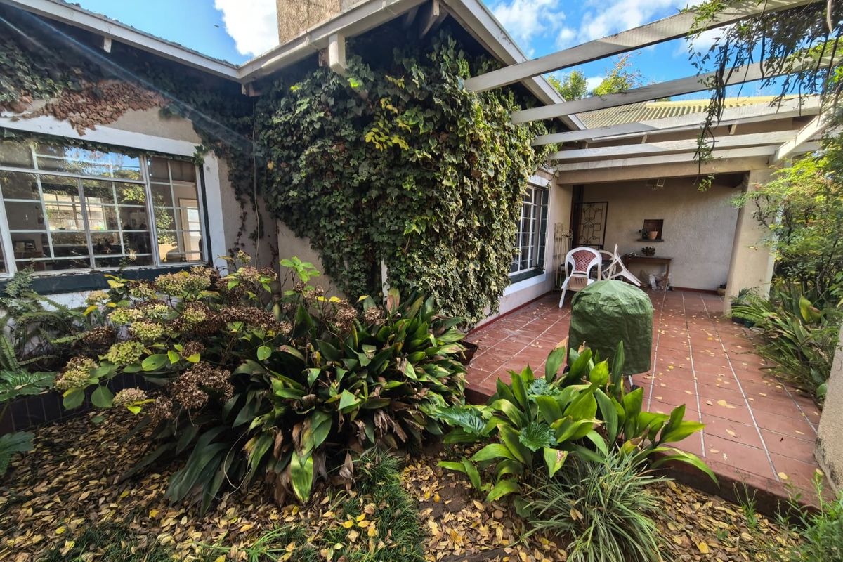 Rear exterior view featuring a terracotta tiled patio, timber pergola, and established garden area with ivy-covered brickwork.